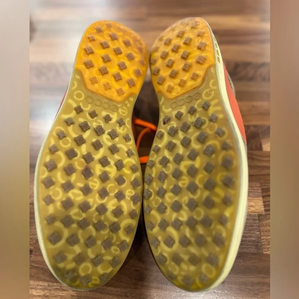 Ecco these shoes